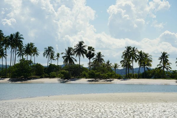 Quels sont les meilleurs itinéraires pour une randonnée dans le parc national des Calanques, France?